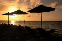 Cocomo Maldives - Beach