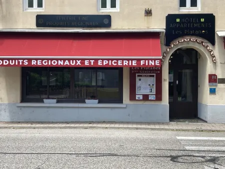 Hôtel et Appartements les Platanes Отели в г. Рокль