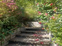 Villa in Ghiffa with Lake Maggiore Views Hotels in Ghiffa