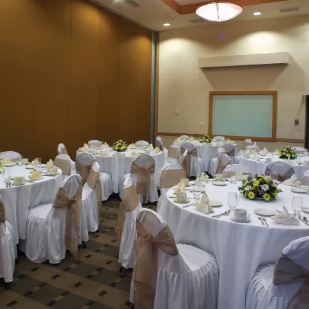 Fiesta Inn Culiacan