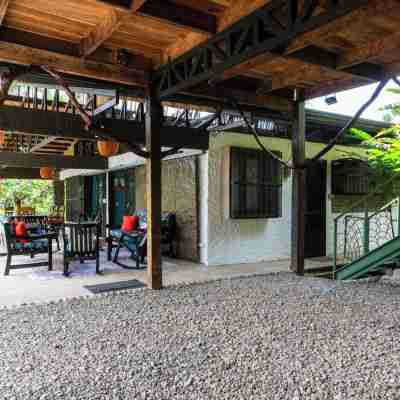Breakfast With Toucans And Monkeys Hotel Exterior