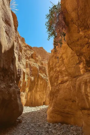 Mogador Guest House Chez Habitants