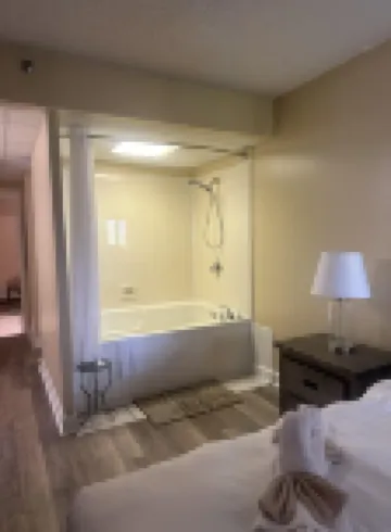 Little Pigeon River 309 1Bd Condo with River View Private Balcony by RedAwning