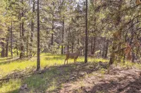 Wooded Retreat w/ Deck: 4 Mi to Downtown Flagstaff - شقق