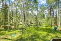 Home w/ Hot Tub: 5 Mi to Angel Fire Bike Park - Pet friendly