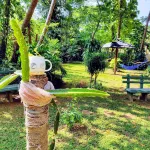 Sujatha Tourist Rest - Hot Tub