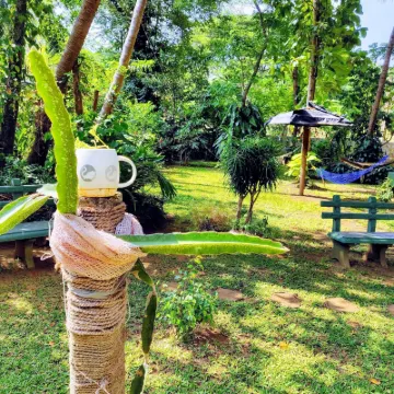 Sujatha Tourist Rest