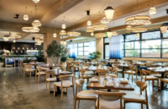 The Shay, A Destination by Hyatt Hotel