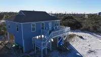 BH Salty Dolphin