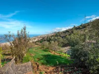Holiday Home in Tenerife with Private Garden