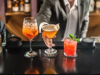 Soho Hotel Auckland Hotels near Avondale