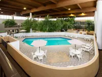 Wyndham Garden Romulus Detroit Metro Airport Hotels in Romulus