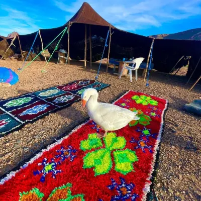 olecactus Hotels near Kerrandou Centre