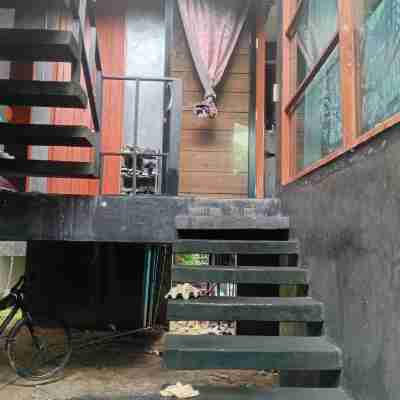 Private Room Crystal Jungle House- King Bed-Private Bathroom - Roof Top Others
