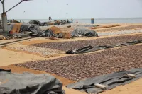 Hotel 198 Negombo - Bãi biển