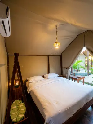Kura Kura Glamping - Homestays