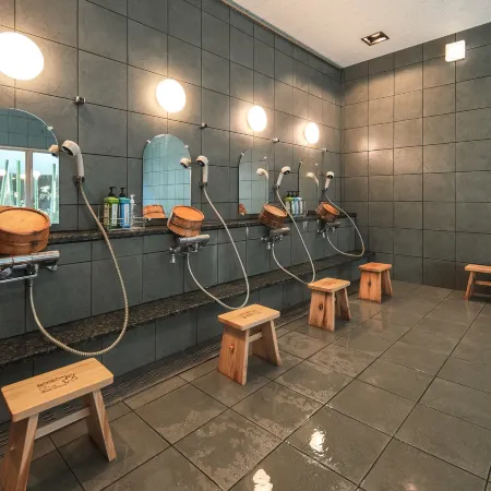 Super Hotel Arai Niigata