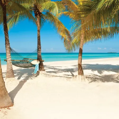 Couples Swept Away