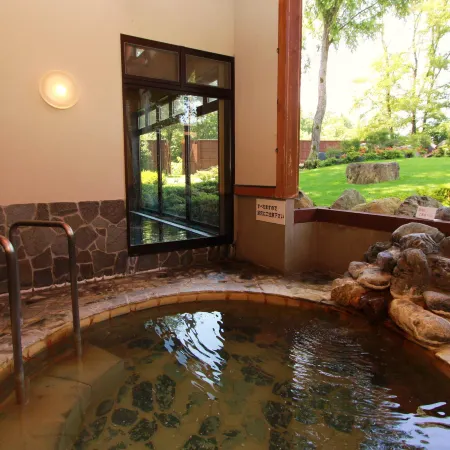 Hotel Hakuba