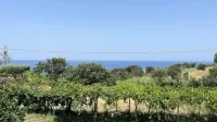 Boutique Apartments Capo Vaticano - 3-Star