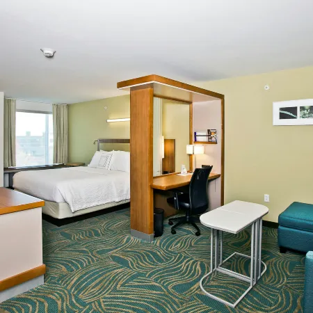 SpringHill Suites Mobile