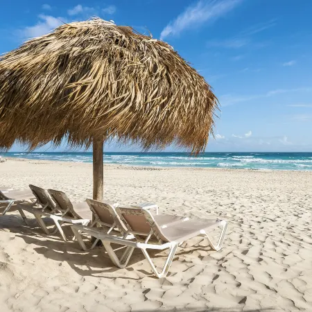 Hard Rock Hotel & Casino Punta Cana All Inclusive