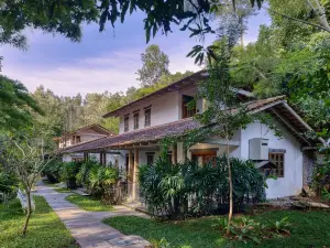 Shambala Yercaud