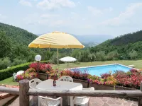 Podere le Ripe - プール