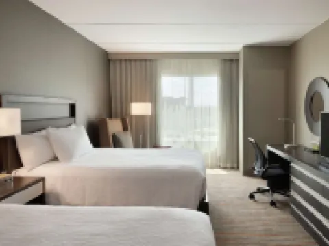 Hilton Garden Inn Rochester/University and Medical Center Hotels in Rochester