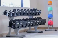 Hilton Garden Inn Wiener Neustadt - gimnasio
