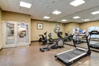 Holiday Inn Express & Suites OSHAWA DOWNTOWN - TORONTO AREA by IHG - Gym