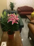 Ünver Hotel - Pet friendly