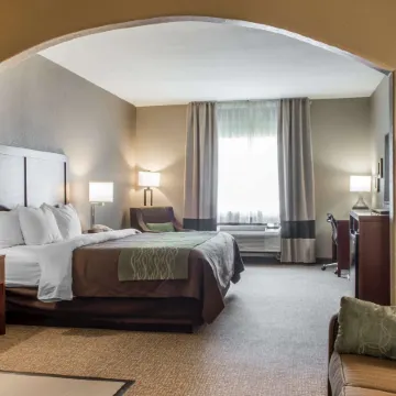 Comfort Inn Edinburg South
