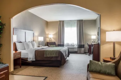 Comfort Inn Edinburg South Hotel in zona IBC Bank