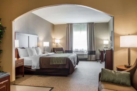 Comfort Inn Edinburg South Отели рядом с достопримечательностью «IBC Bank»