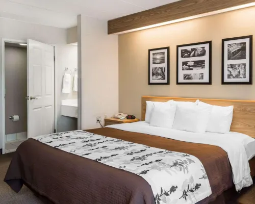 Spark by Hilton Lynchburg - University Area & Hwy 460