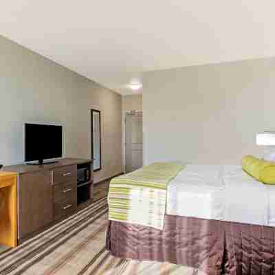 La Quinta Inn & Suites by Wyndham Paducah Rooms