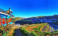 Afton Homestay Sikunir Hotels in Sembungan