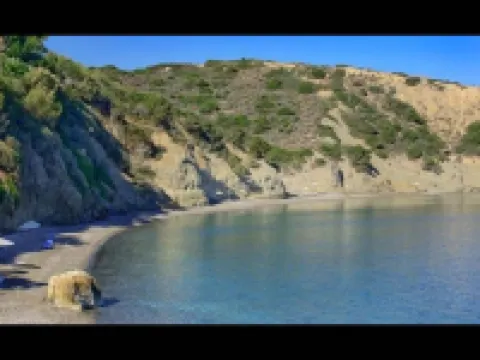 One Bedroom Villa with Private Seawater Pool! Just 150 Meters from the Sea