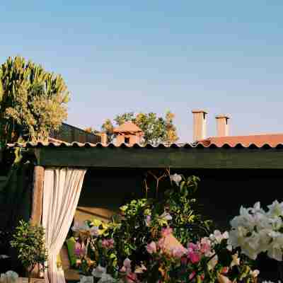 Riad O Hotel Exterior
