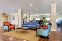 Comfort Inn Near University