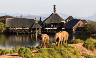 Buffelsdrift Game Lodge