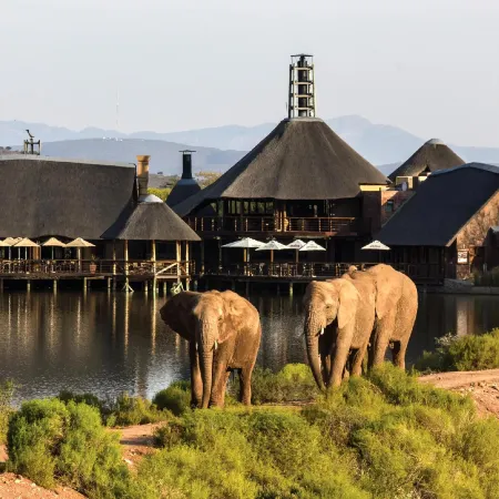 Buffelsdrift Game Lodge