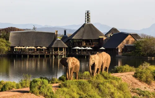 Buffelsdrift Game Lodge - bar