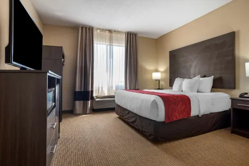 Comfort Suites Mobile West/Tillmans Corner Hotels in Tillmans Corner