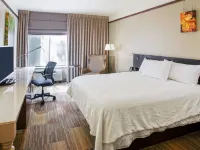 Hilton Garden Inn Bentonville Rogers Hotels in Bentonville