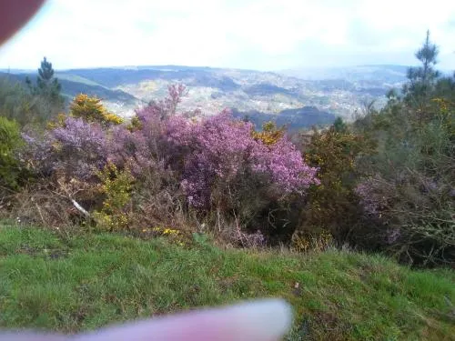 維娜民宿（卡斯多斯特歐 - 歐倫塞）