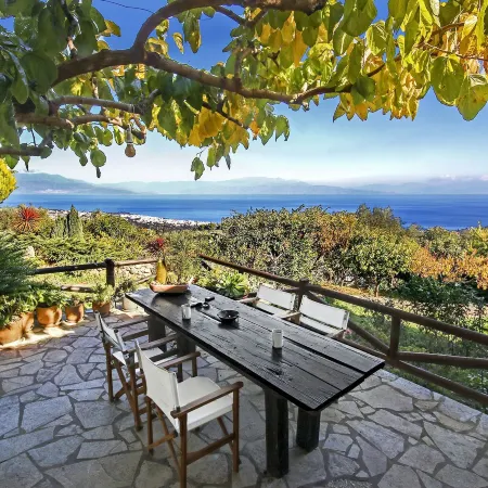 Ampelos Estate