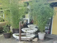 索諾拉金色旅館 索諾拉酒店