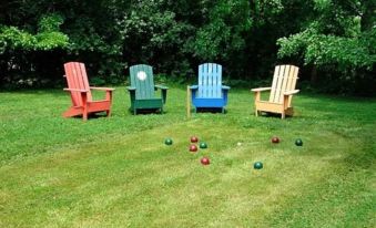 a group of colorful lawn chairs are lined up in a grassy area , surrounded by green grass and trees at Finger Lakes Bed and Breakfast